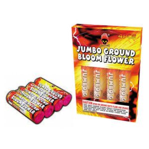 Jumbo Ground Bloom Flower