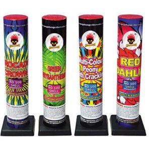#100 Shells Asssorted