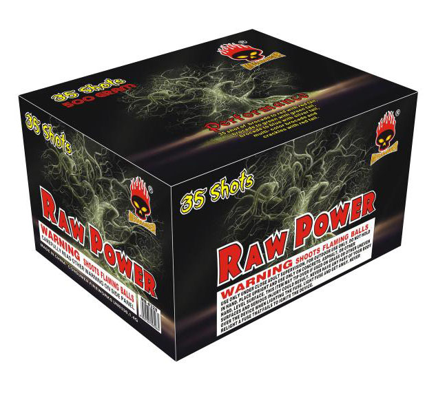 Raw Power
