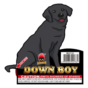 Down Boy