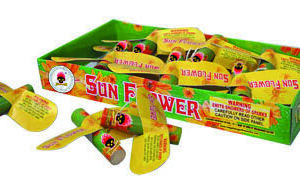 Sun Flower