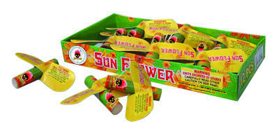 Sun Flower