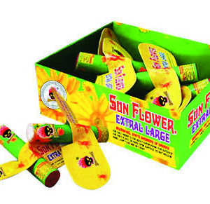 Sun Flower,Extra Large