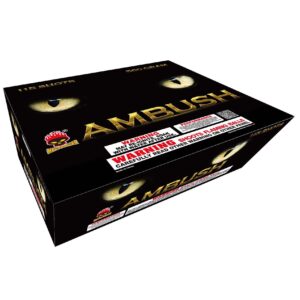 Ambush